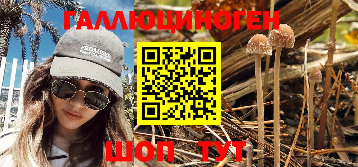 Галлюциногенные грибы Psilocybine cubensis Первоуральск