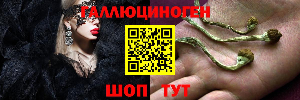 Псилоцибиновые грибы Psilocybine cubensis  Вход с VPN  наркошоп  Первоуральск 