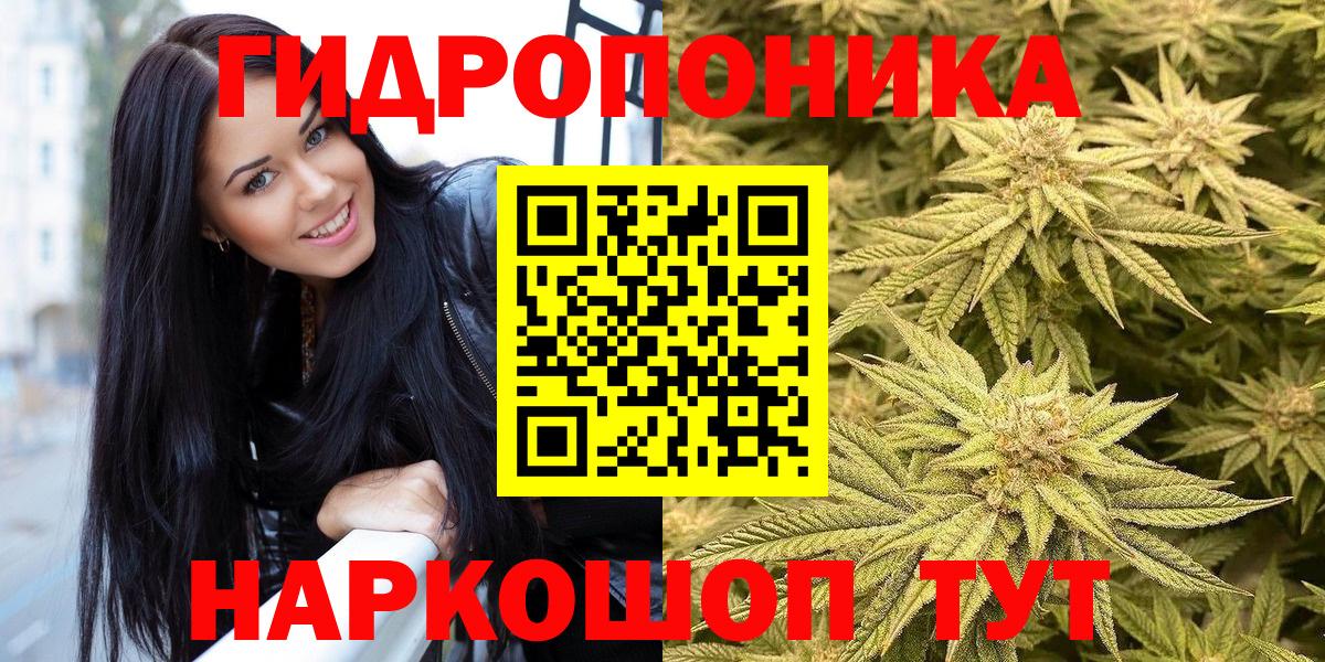 Шишки марихуана марихуана  МАРИХУАНА White Widow  Вход с VPN  Первоуральск 